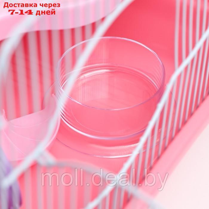 Клетка для грызунов "Пижон", укомплектованная с туннелем, 37 х 27 х 30 см, розовая - фото 2 - id-p222993050
