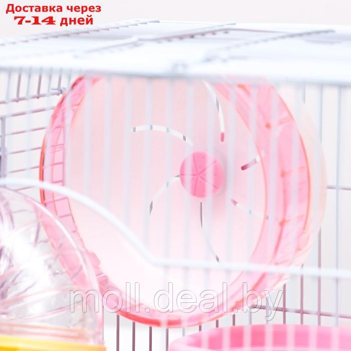 Клетка для грызунов "Пижон", укомплектованная с туннелем, 37 х 27 х 30 см, розовая - фото 9 - id-p222993050