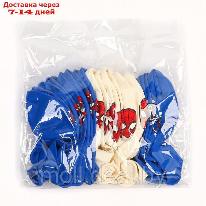 Воздушные шары цветные "С Днем Рождения!",12 дюйм (набор 25 шт), Человек-паук - фото 2 - id-p222992099