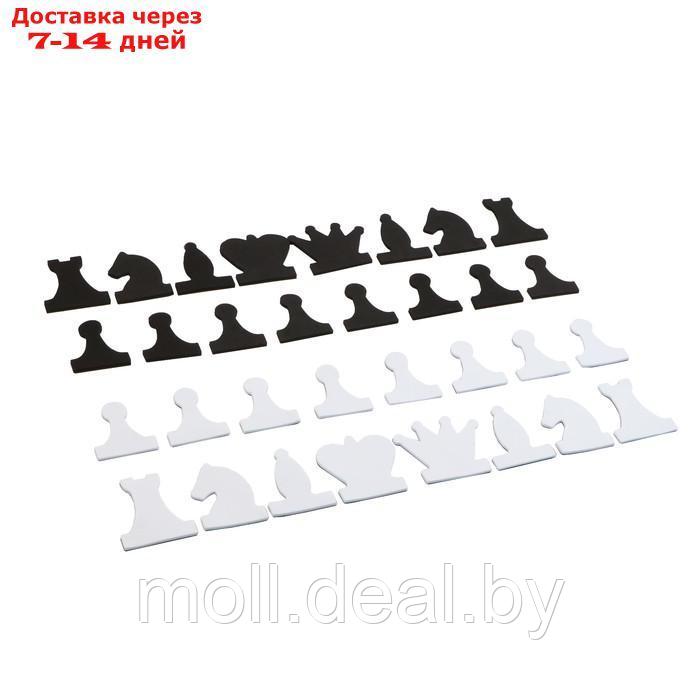 Набор магнитных фигур для демонстрационных шахмат, фигура 8 х 8 см - фото 2 - id-p222991168