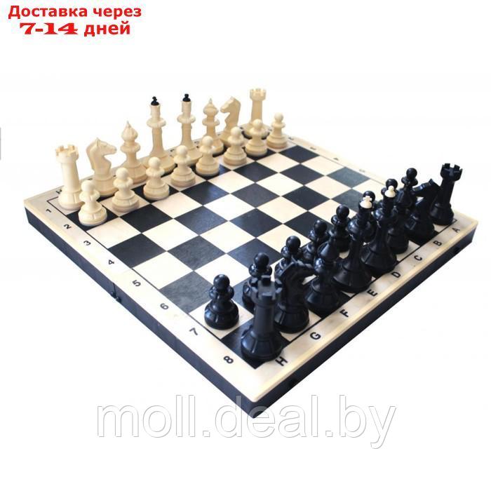 Шахматы гроссмейстерские 40х40 см "Айвенго", король h=10 см - фото 1 - id-p222992171