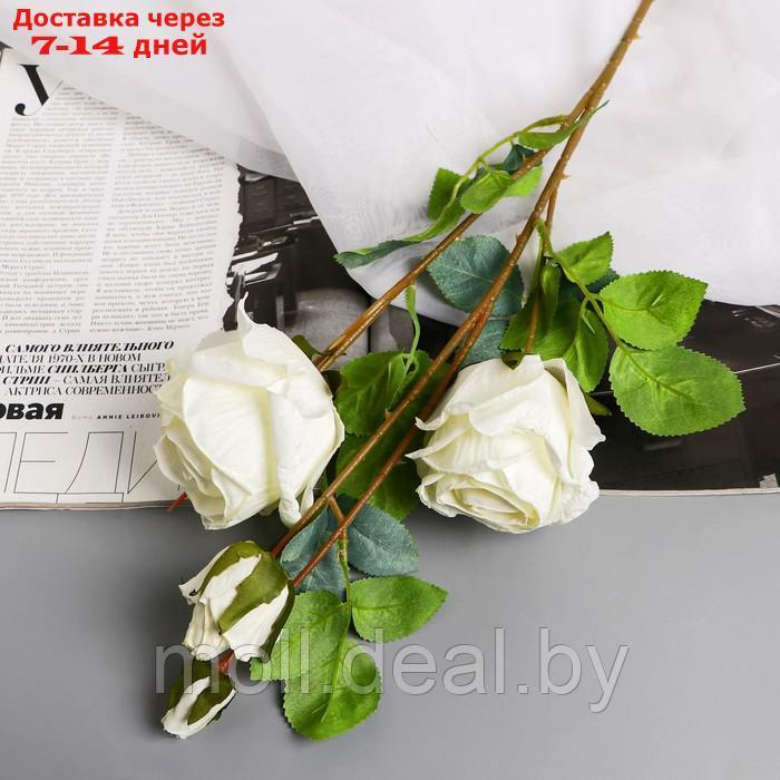 Цветы искусственные "Роза Солмус" d-7,5 см 64 см, белый - фото 1 - id-p222992196