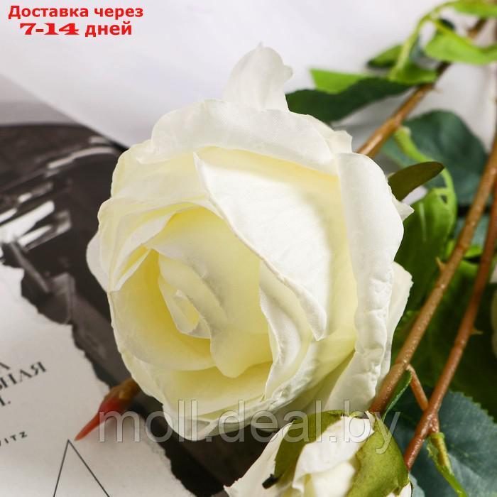 Цветы искусственные "Роза Солмус" d-7,5 см 64 см, белый - фото 2 - id-p222992196