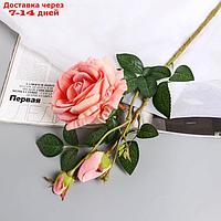 Цветы искусственные "Роза Вхите" 66 см, светло-розовый