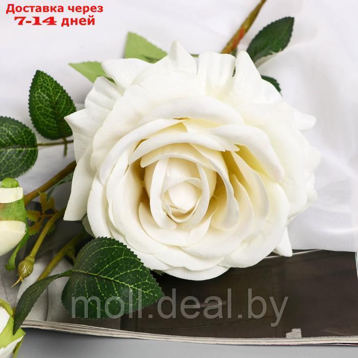 Цветы искусственные "Роза Вхите" 66 см, белый - фото 2 - id-p222992226