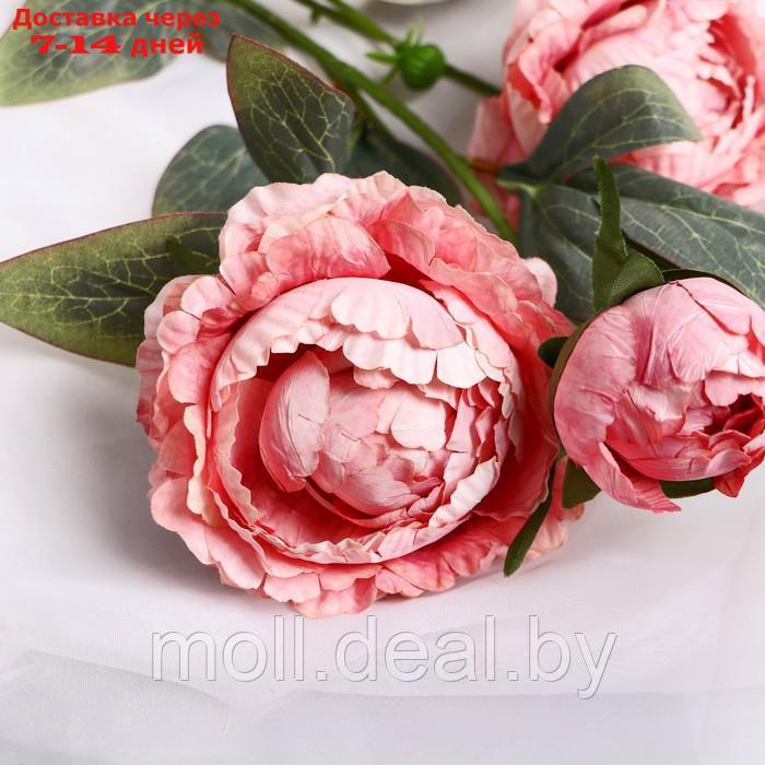 Цветы искусственные "Пион Эльза" d-10 см 64 см, розовый - фото 2 - id-p222992228