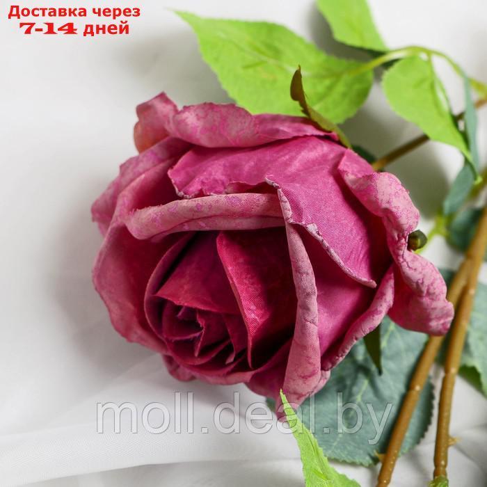 Цветы искусственные "Роза Солмус" d-7,5 см 64 см, сиреневый - фото 2 - id-p222992249