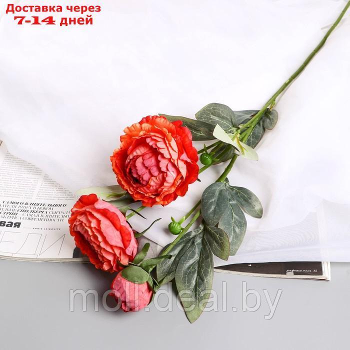 Цветы искусственные "Пион Эльза" d-10 см 64 см, персиковый