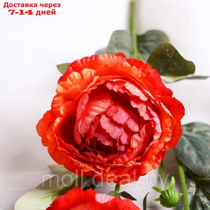 Цветы искусственные "Пион Эльза" d-10 см 64 см, персиковый - фото 2 - id-p222992250