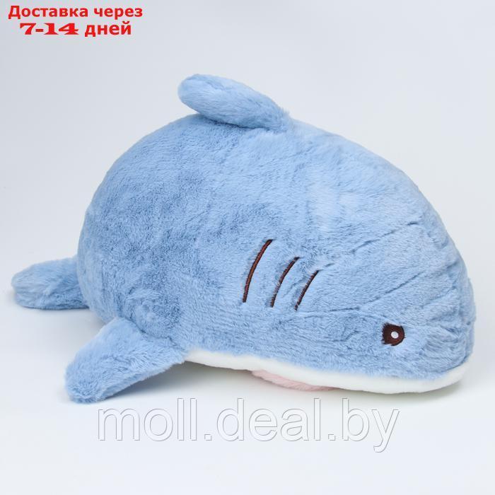 Мягкая игрушка "Кот" в костюме акулы, 48 см, цвет синий - фото 3 - id-p222991371