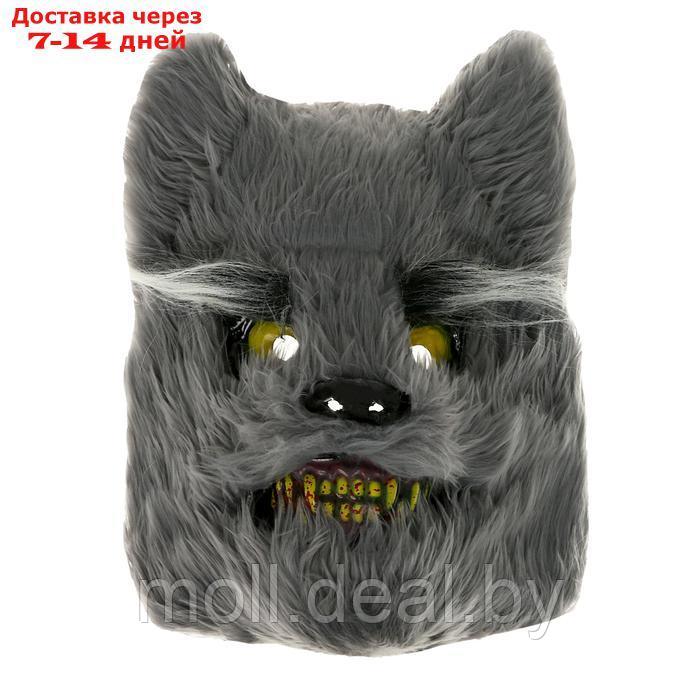 Карнавальная маска "Волк" - фото 1 - id-p222992473