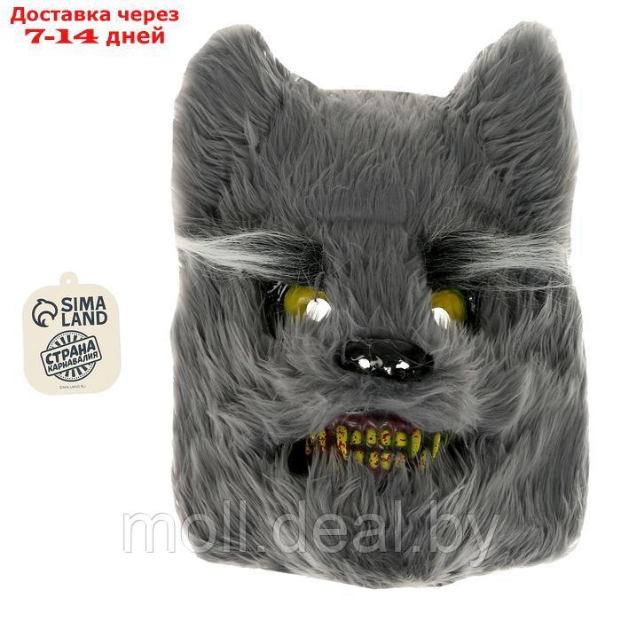 Карнавальная маска "Волк" - фото 3 - id-p222992473