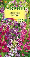 Пенстемон Энтони 0,1г Гавриш
