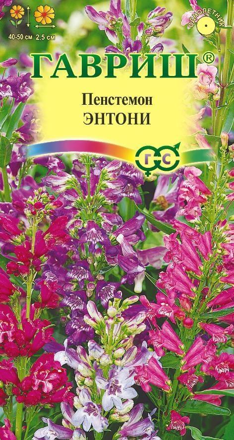 Пенстемон Энтони 0,1г Гавриш