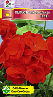 Пеларгония зональная Ева F1 4шт МССО