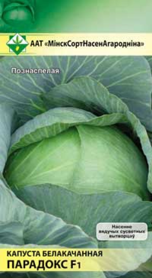 Купить Семена Капусты Голландской Селекции