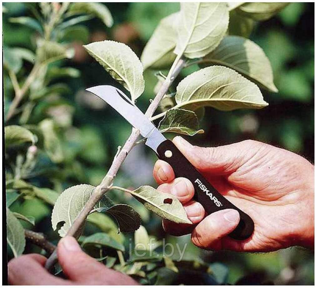 Нож садовый изогнутый для прививок 125880 FISKARS 1001623 - фото 4 - id-p197915907