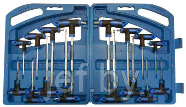 Набор ключей Т-образных TORX RF-5166B 16 предметов ROCKFORCE RF-5166B, фото 2