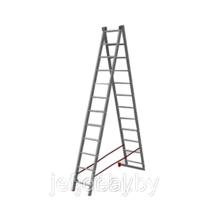 Лестница алюминиевая 2-х секционная PRO STARTUL ST9946-12 - фото 2 - id-p195486812