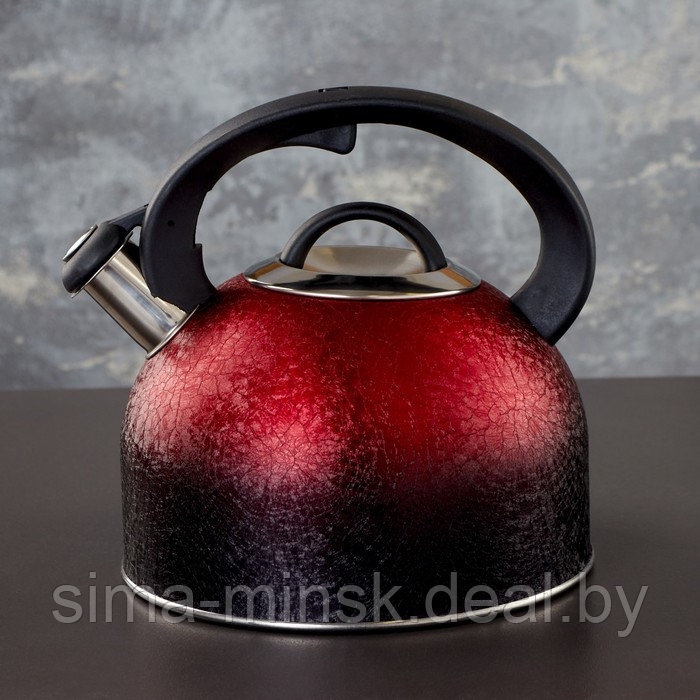 Чайник со свистком из нержавеющей стали Доляна Snow, 3 л, индукция, цвет красный - фото 1 - id-p223018554