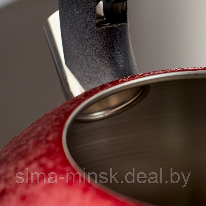 Чайник со свистком из нержавеющей стали Доляна Snow, 3 л, индукция, цвет красный - фото 4 - id-p223018554