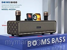 Караоке система для дома BOOMSBASS M2204+ с 2 микрофонами
