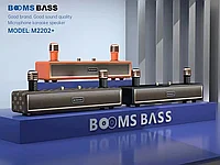 Караоке система для дома BOOMSBASS M2202+ с 2 микрофонами