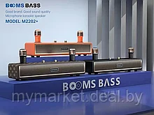 Караоке система для дома BOOMSBASS M2202+ с 2 микрофонами