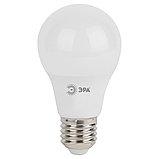 Лампа светодиодная Эра "LED A-60", 13 Вт, E27, фото 2
