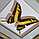 Бабочка Махаон Тоас, арт: 136с, фото 3