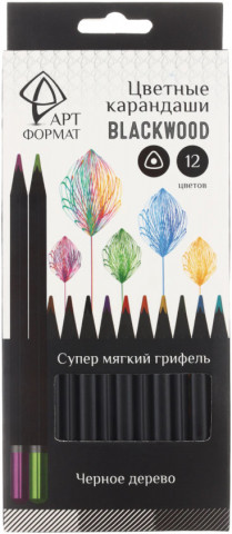 Карандаши цветные Artформат Blackwood 12 цветов, длина 175 мм - фото 2 - id-p223026315