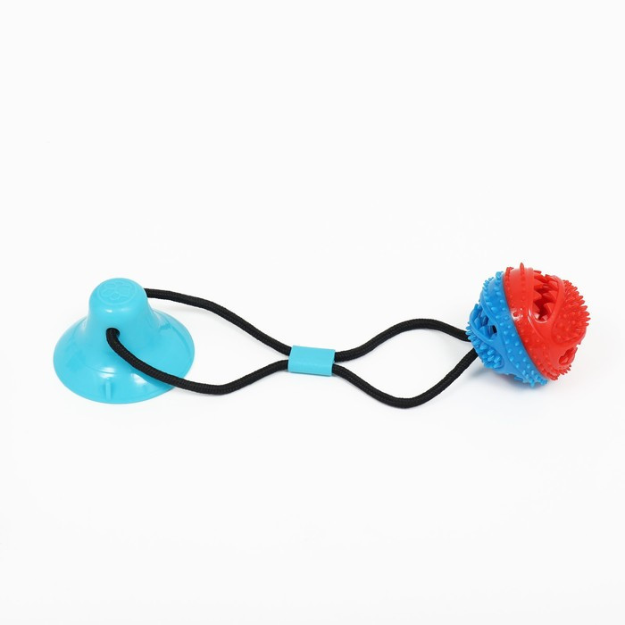 Игрушка для собак "Шар для лакомств на присоске", 40 х 8 см, голубая - фото 5 - id-p223030581