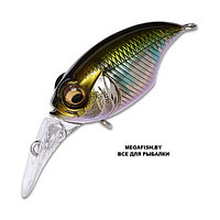 Воблер MEGABASS MR-X GRIFFON wagin oikawa