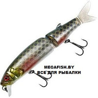 Воблер Jackall Tiny Magallon (7.2 гр; 8.8 см; 0.5-0.8 м) Roach