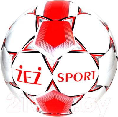 Мяч для футзала ZEZ Sport B05 - фото 1 - id-p223062801