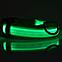 Светящийся ошейник для собак, нейлон, размер XL, 52-60см, зелёный, фото 3