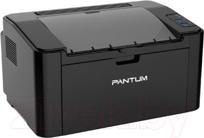 Принтер Pantum P2500W - фото 5 - id-p223071026