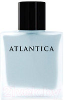 Парфюмерная вода Dilis Parfum Atlantica Silver Moon