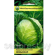 Семена Капуста Июньская (0,5 гр) МССО