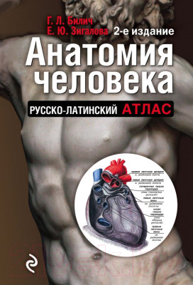 Книга Эксмо Анатомия человека - фото 1 - id-p223072130