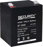 Аккумулятор для ИБП Security Force SF 12045 (12В/4.5 А·ч)