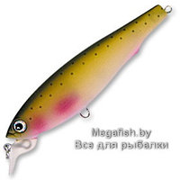 Воблер 3D Minnow (R725) NWRT