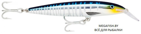 Воблер Rapala Magnum Floating (22 гр; 14 см; 2.7-3.3 м) BSCD - фото 1 - id-p223095717