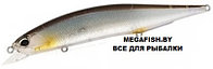 Воблер DUO Realis Jerkbait 120SP (18 гр; 12 см; 1-1.8 м) CCCZ170