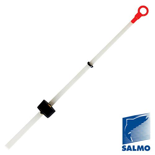 Сторожок лавсановый Salmo LAVSNOD RING с колечком и кембриком. 25 08см/тест 0.50-1.20 - фото 1 - id-p223107631