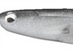 Виброхвост MEGABASS Spark Shad 5.0", 5 шт в уп., цвет: Silver Shad - фото 1 - id-p223102840