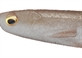 Виброхвост MEGABASS Spark Shad 5.0", 5 шт в уп., цвет: Wakasagi - фото 1 - id-p223102841