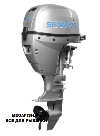 Мотор 4T Seanovo SNF 15 FES - фото 1 - id-p223099896