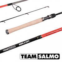 Спиннинг Team Salmo BALLIST 12 5.90