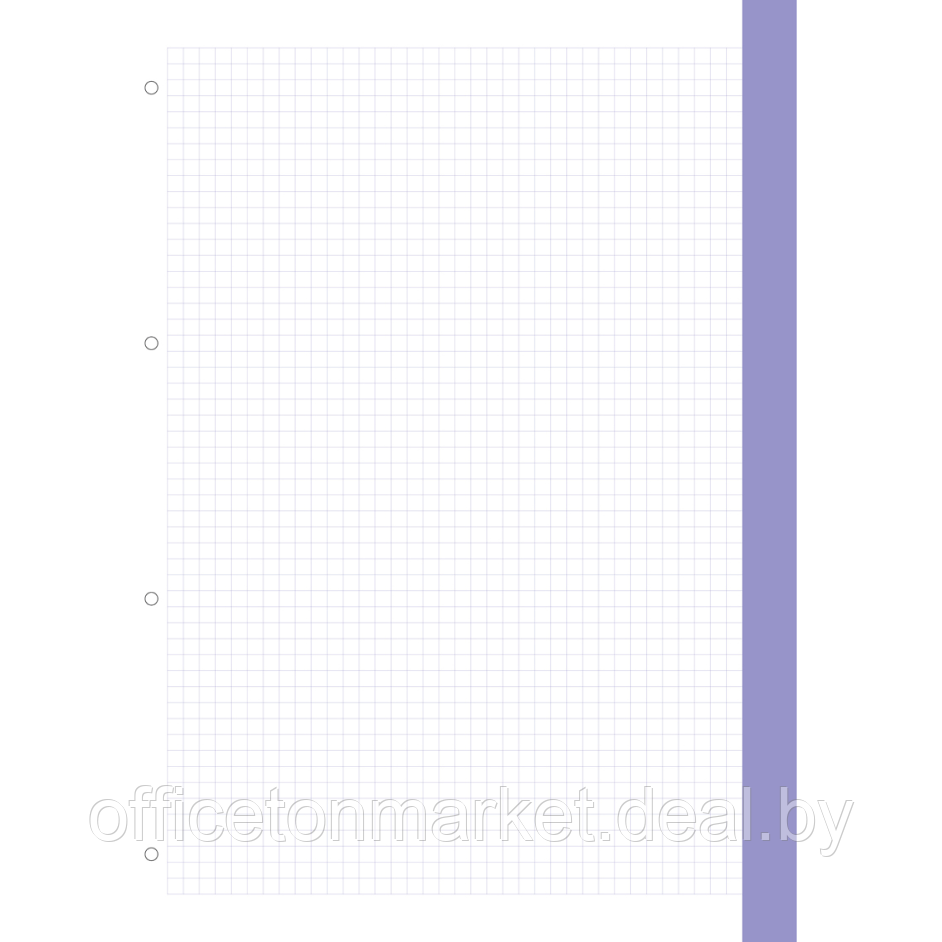 Сменный блок для тетради на кольцах "BG", A4, 120 листов, клетка - фото 2 - id-p223087300
